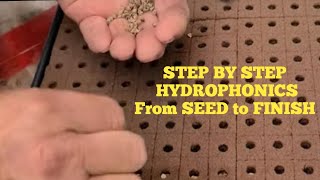 Hydroponic Seed to Finish STEP BY STEP [upl. by Colly]