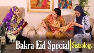 Bakra Eid Special  Sistrology  ftiqra kanwal  hira  fatima [upl. by Desdamona]