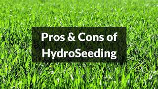 Hydroseeding Pros and Cons [upl. by Dasteel]