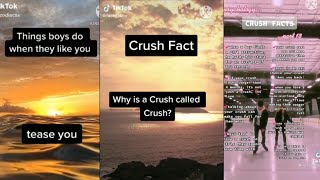 Crush facts😏 Tik Tok Compilation ✨💙 [upl. by Mylan]