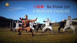 八段锦 · Ba Duan Jin 8 Brocade Exercise Qi Gong [upl. by Bedwell]