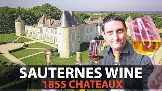 Your Essential Guide to Sauternes  Fine Rare amp Most Expensive Wines from Bordeaux Part3 [upl. by Emmey]