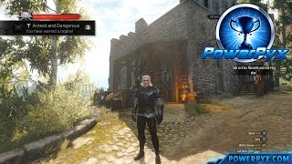 The Witcher 3 Wild Hunt  Griffin Witcher Gear Set Locations Armed and Dangerous Trophy [upl. by Doner]