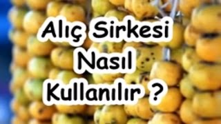 Alıç Sirkesi Nasıl Kullanılır [upl. by Ecirtra703]