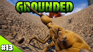 ANT LIONS Sandbox Lab  Grounded Episode 13 [upl. by Ximenez]