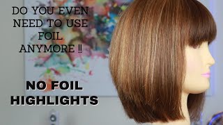 NO FOIL HIGHLIGHTS QUICK HIGHLIGHT TECHNIQUE [upl. by Zonnya]