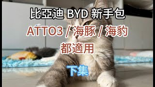 比亞迪 BYD 新手包 下集  推介精選車機apps  ATTO 3  海豚  海豹  都適用 [upl. by Noira191]