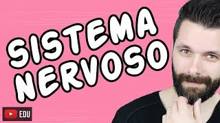 SISTEMA NERVOSO  FISIOLOGIA  Aula  Biologia com Samuel Cunha [upl. by Onaivlis303]