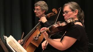 Ashokan Farewell  The Woodvale String Quartet [upl. by Kelam]