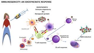 Immunogenicity explained in 6 minutes [upl. by Nikita381]