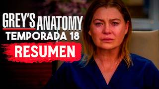 GREYS ANATOMY Temporada 18 RESUMEN EN 1 VIDEO [upl. by Naiva381]