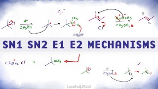 SN1 SN2 E1 E2 Reaction Mechanism Overview [upl. by Rexer]