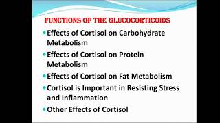 Function of glucocorticoid and mineralocorticoid [upl. by Yblocaj]