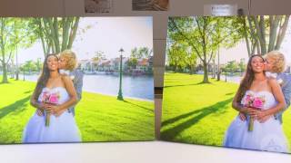 Traditional Canvas vs Metallic Canvas Prints [upl. by Ahsinam]