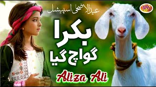 Aliza Ali  Mera Bakra Guwach Gaya  Bakra Eid Nasheed 2021  Beautiful Video [upl. by Edasalof]