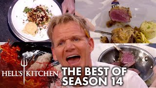 The Best Moments Of Hells Kitchen Season 14 [upl. by Lachlan492]