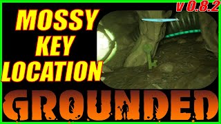 Mossy Key Location for Treasure Chest in Grounded [upl. by Alyssa]