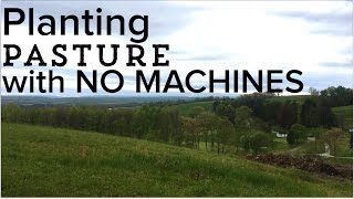 How to Seed a Pasture  Planting a Pasture from Scratch with NO MACHINES [upl. by Crofoot]