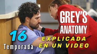 Grey’s Anatomy Temporada 16 Explicada En Un Video [upl. by Sehcaep463]