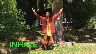 Qi Gong Breathing 7 Minutes to calm body and mind [upl. by Jozef566]