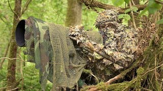 BIRD PHOTOGRAPHY in the forest  Wildlife photography behind the scenes  Nikon Z7 FTZ camouflage [upl. by Aima287]