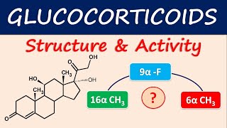 Glucocorticoids  Structure and activity [upl. by Wiener]