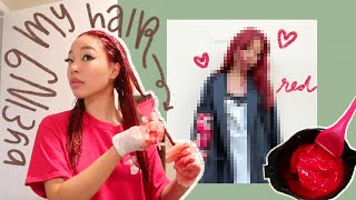 i dyed my hair red bc tiktok made me do it P ❤️ [upl. by Alleuqahs]