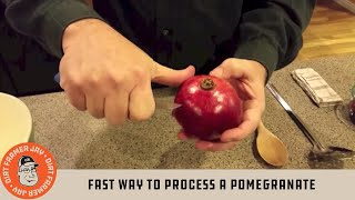 Fast Way to Process a Pomegranate [upl. by Htidirrem]