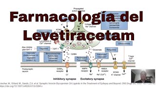 Farmacología del levetiracetam Antiepilépticos [upl. by Nakasuji]