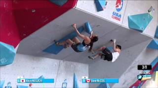 Best of IFSC 2014  Hard Boulder Problems 2 [upl. by Lezti]