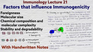 Immunogenicity  Factors that influence immunogenicity  Immunology lecture 21 [upl. by Bradwell565]