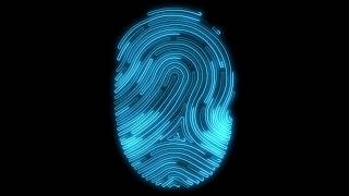 Digital Fingerprint Scan Animation [upl. by Zonnya]