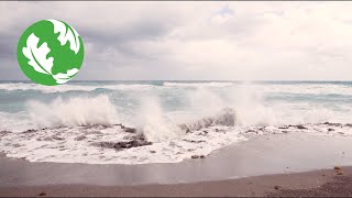 Florida Blowing Rocks Preserve [upl. by Weaks]