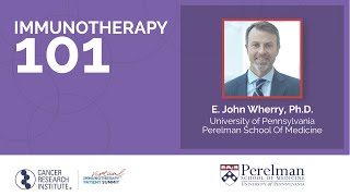 Cancer Immunotherapy 101 with Dr E John Wherry [upl. by Trstram]