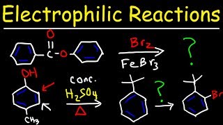 Electrophilic Aromatic Substitution Reactions Made Easy [upl. by Ebehp]