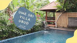 UME SRI VILLA UBUD GREAT PRIVATE VILLA ROOM TOUR amp SCENERY [upl. by Earezed]