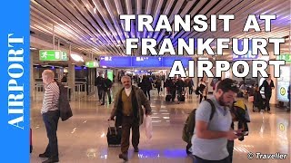 TRANSIT WALK AT FRANKFURT Airport FRA Terminal 1  Connection Flight Transfer Arriving amp Departing [upl. by Yeh]