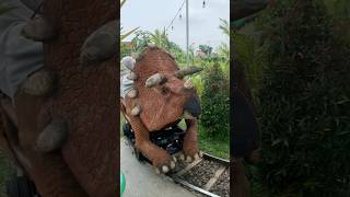 NAIK KERETA DINOSAURUS TRICERATOP BARENG ADEK KAKA [upl. by Initsed]